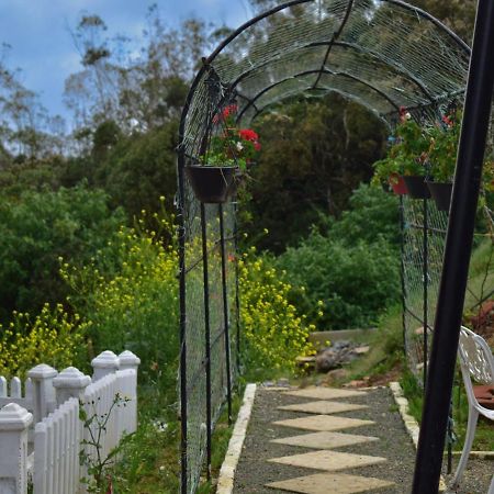 Newbury Villa Nuwara Eliya Bagian luar foto